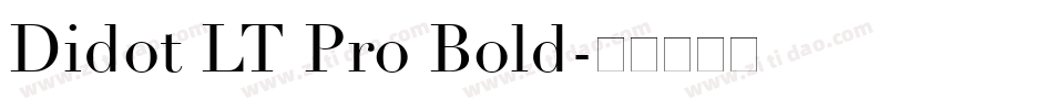 Didot LT Pro Bold字体转换